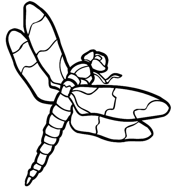 Dragonfly vinyl sticker. Customize on line.       Animals Insects Fish 004-1246  